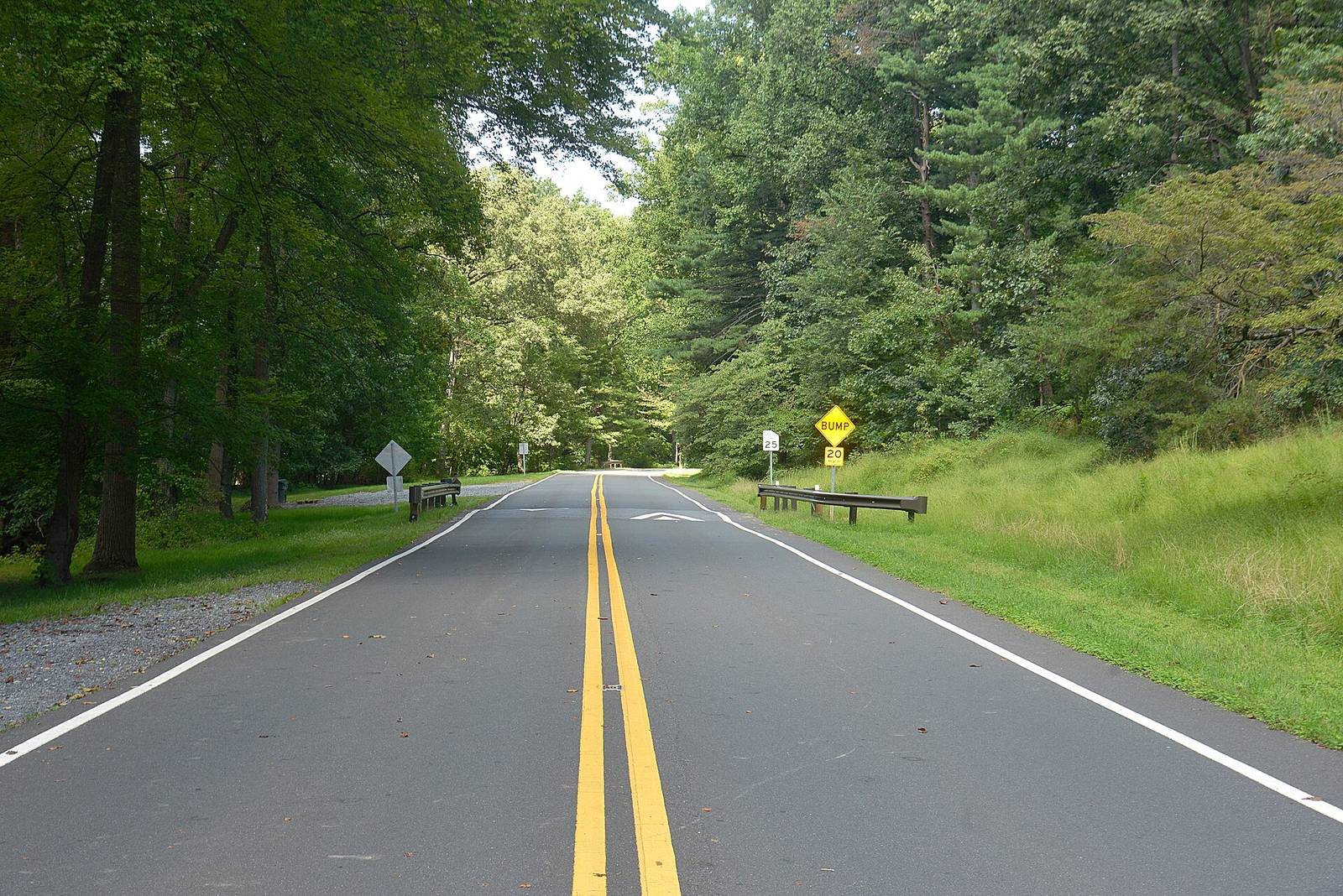 Sligo Creek Parkway winding beneath a green tree canopy