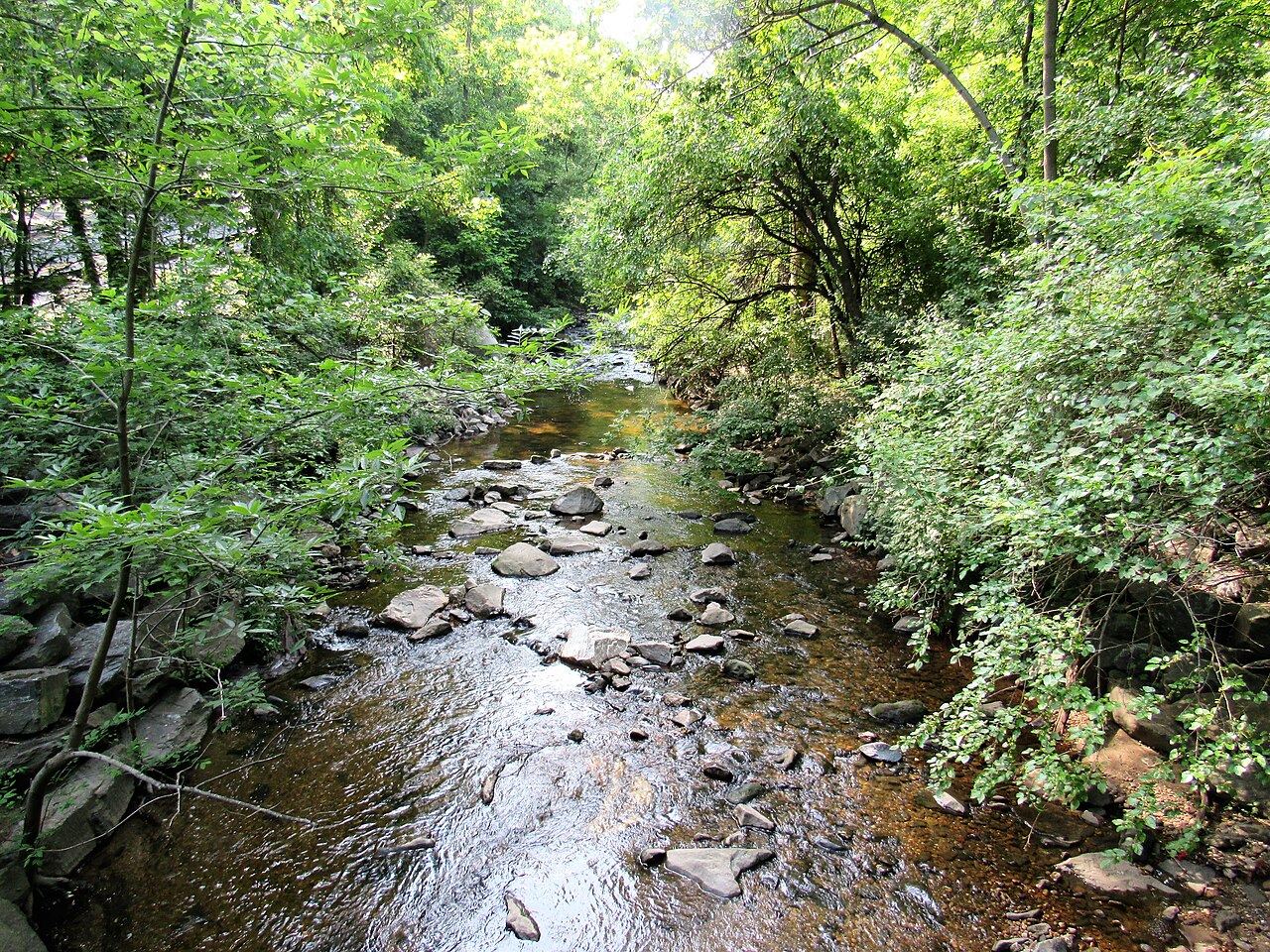 Sligo Creek flowing through its wooded valley
