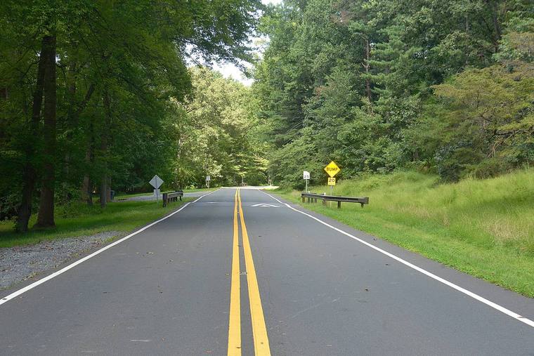 Sligo Creek Parkway winding under a green tree canopy