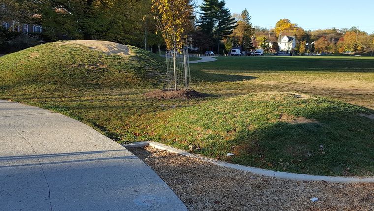 A paved pump track with rolling mounds curving through the park