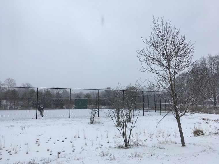 Snow covering the park lawn and tennis court fencing on a grey day