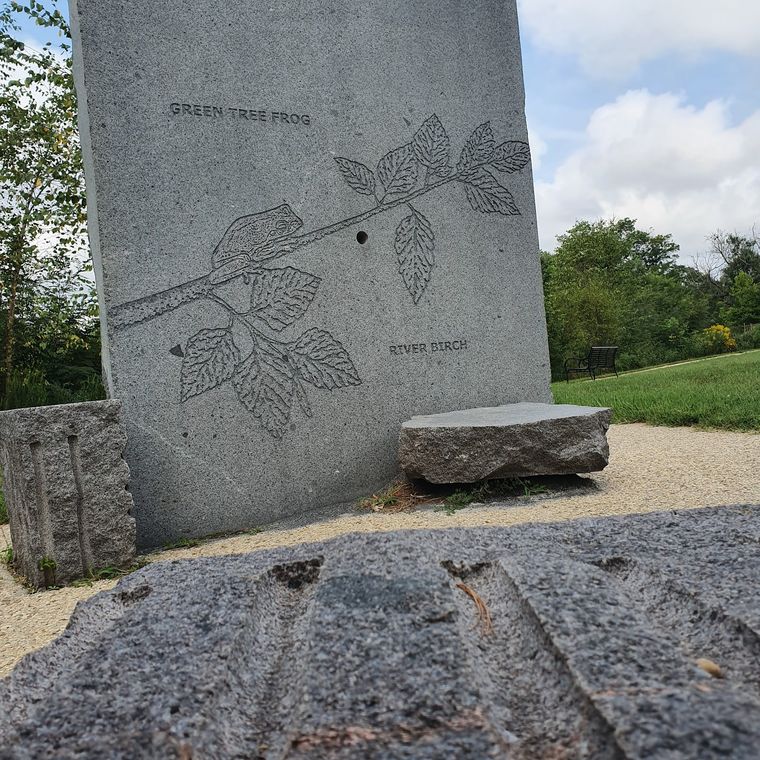 A stone monolith engraved with a river birch branch and the words Green Tree Frog