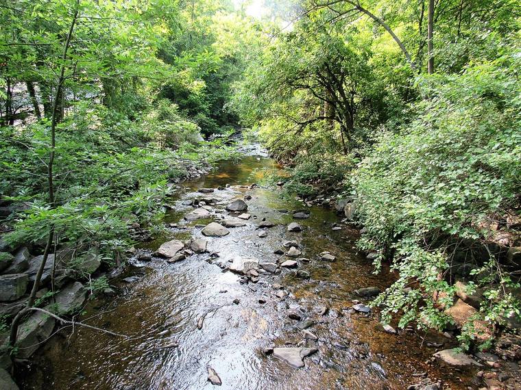 Sligo Creek flowing through a lush green valley